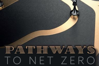 Pathways to net zero