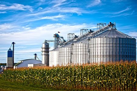 Viridos and ExxonMobil to jointly develop biofuel project