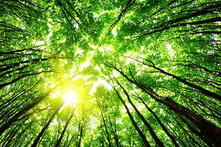 Neste reduces greenhouse gas emissions