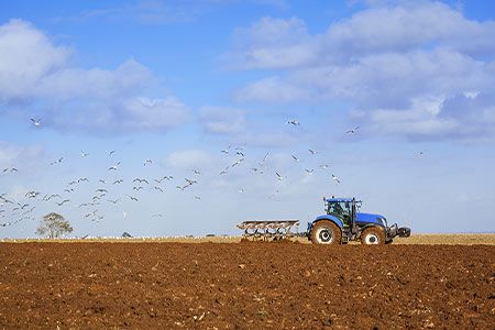 Veolia awarded operations contract