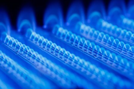 US net natural gas exports remain flat in the first half of 2024