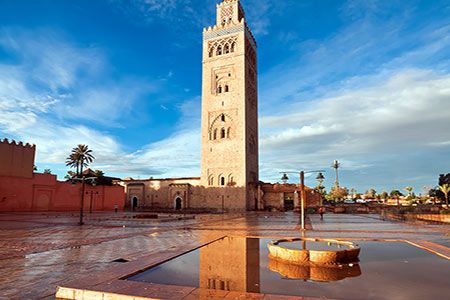 Quadrise Plc completes demonstration test of biofuels