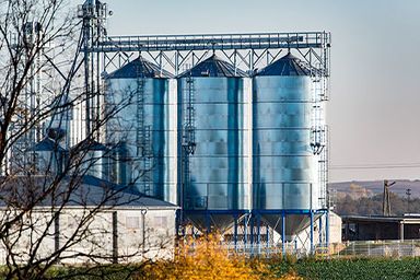 Increasing trade of biofuel feedstock heightens supply constraints