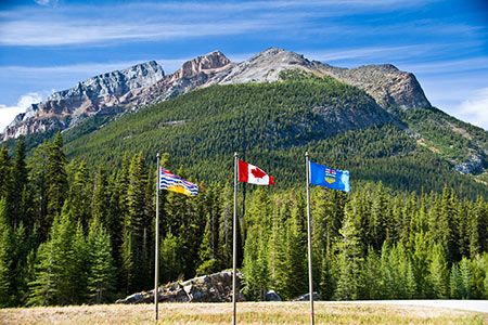 Biomass torrefaction plant in Canada