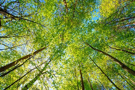 Five key ways to decarbonise downstream