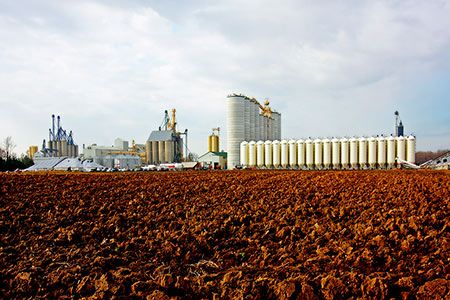BP enters 50:50 joint venture with Bunge to create bioenergy company