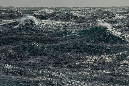 Savage acquires assets